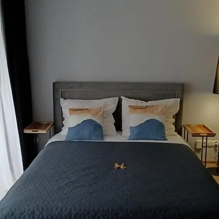 Redacity * 什切青