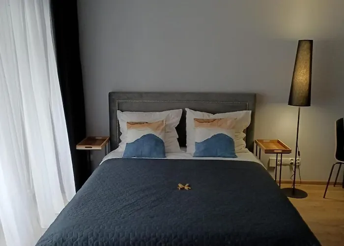 Redacity * 什切青